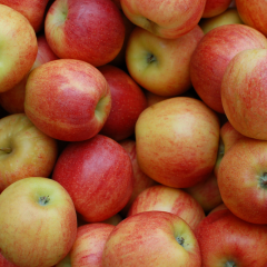 Pommes x 1.5 kg *Promo *