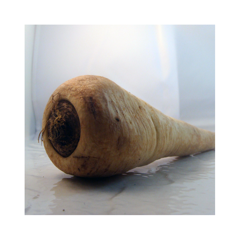 Panais bio- Du Panier à l'Assiette