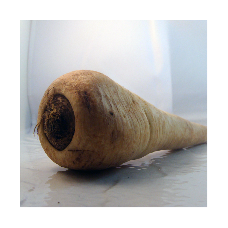 Panais bio- Du Panier à l'Assiette