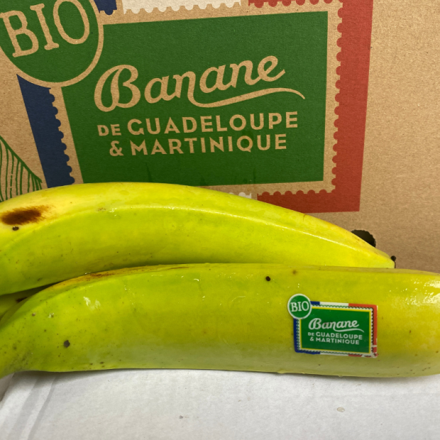 Banane Bio - Du Panier à l'Assiette