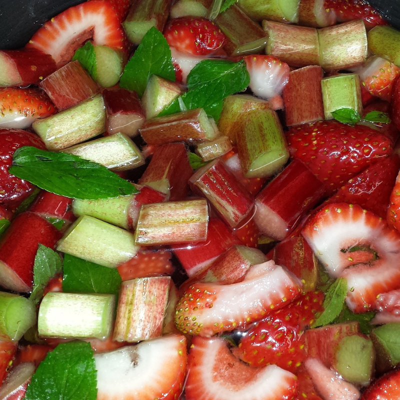 rhubarbe bio- Du Panier &agrave; l'Assiette
