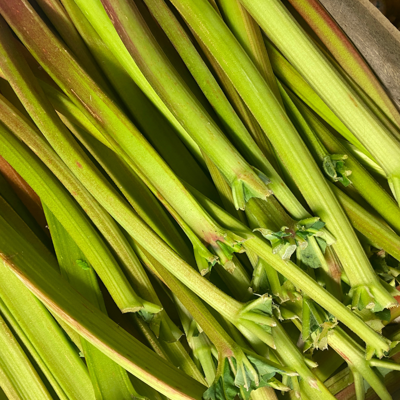 rhubarbe bio- Du Panier &agrave; l'Assiette
