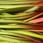 rhubarbe bio- Du Panier &agrave; l'Assiette