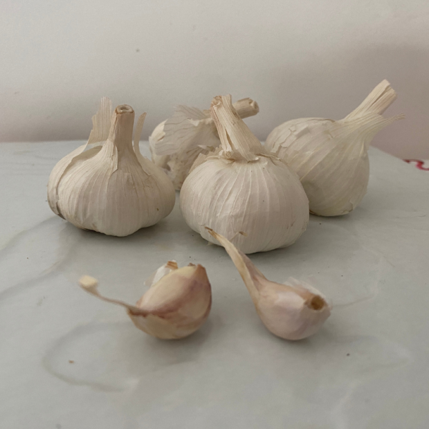 Ail français bio- Du Panier à l'Assiette