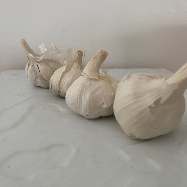 Ail français bio- Du Panier à l'Assiette