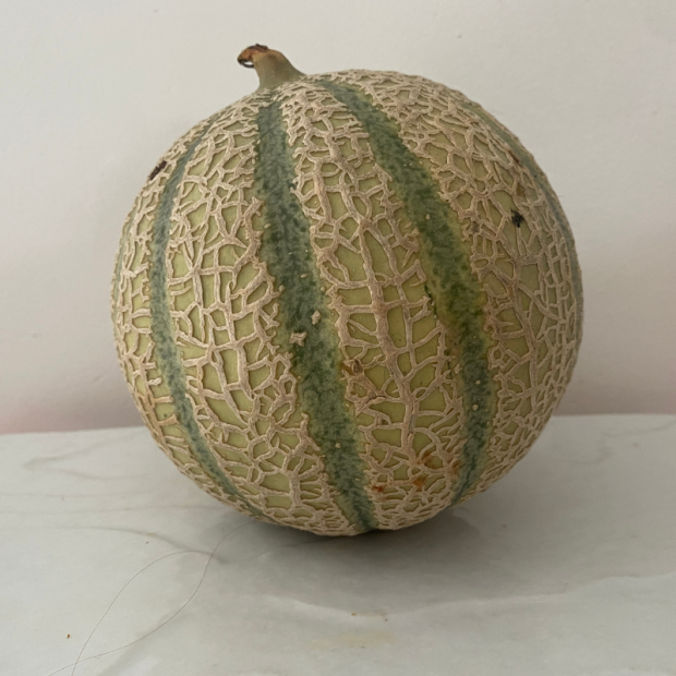 Melon Bio - Du Panier &agrave; l'Assiette