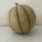 Melon Bio - Du Panier à l'Assiette Melon Bio - Du Panier à l'Assiette