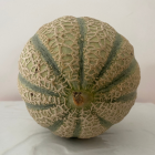 Melon Bio - Du Panier à l'Assiette Melon Bio - Du Panier à l'Assiette