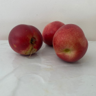 Nectarine Bio - Du Panier &agrave; l'Assiette