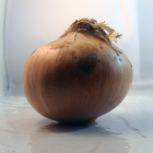 Oignon bio- Du Panier à l'Assiette