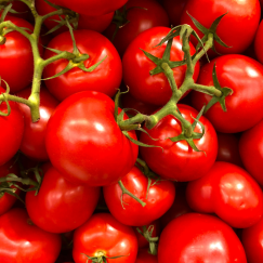 Tomate Cocktail Grappe x 500g