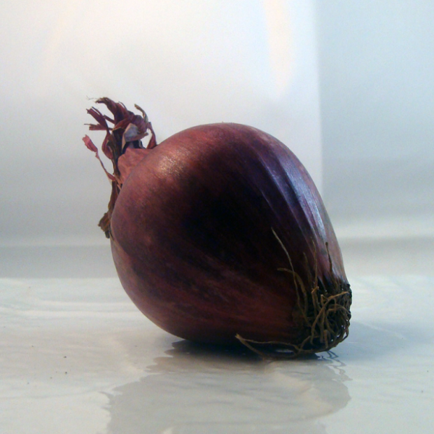 Oignon rouge breton bio- Du Panier à l'Assiette