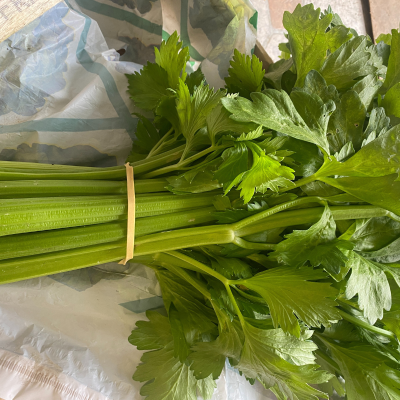 Céleri branche bio- Du Panier à l'Assiette Céleri branche bio- Du Panier à l'Assiette