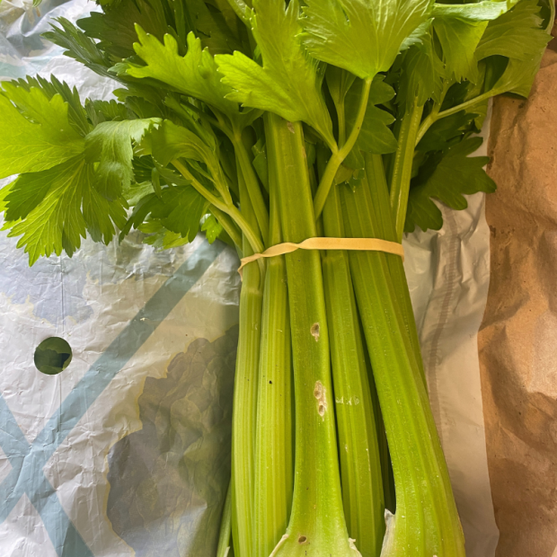 Céleri branche bio- Du Panier à l'Assiette