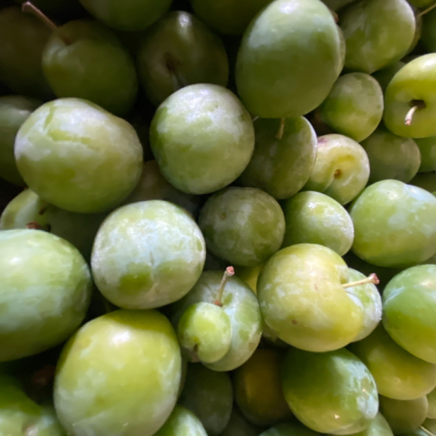 Prune Bio - Du Panier &agrave; l'Assiette