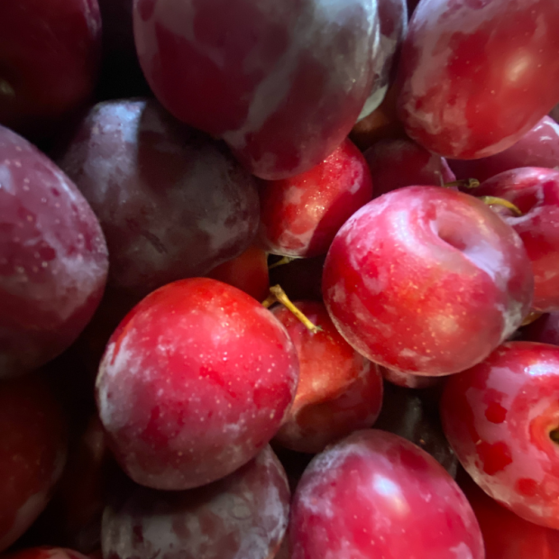 Prune Bio - Du Panier &agrave; l'Assiette