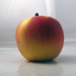 Pomme Belrène x500g