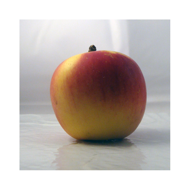 Pomme Belrène Bio - Du Panier à l'Assiette Pomme Belrène Bio - Du Panier à l'Assiette