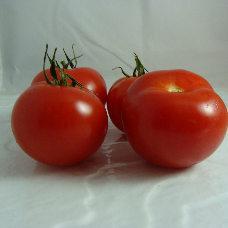 tomate bio- Du Panier &agrave; l'Assiette