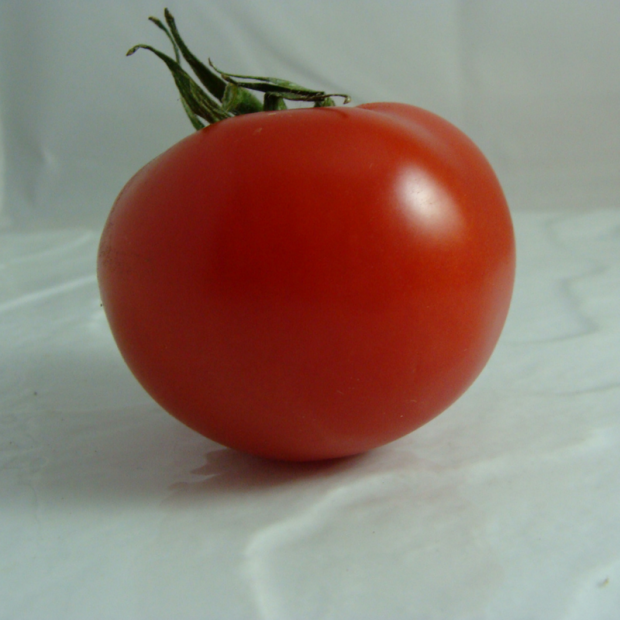 tomate bio- Du Panier &agrave; l'Assiette