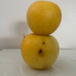 Pomme Lafayette x 500g