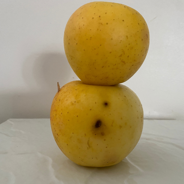 Pomme Lafayette Bio - Du Panier &agrave; l'Assiette