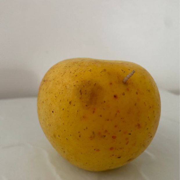Pomme Lafayette Bio - Du Panier &agrave; l'Assiette