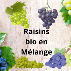 Raisins en Mélange x 600g *Promo*