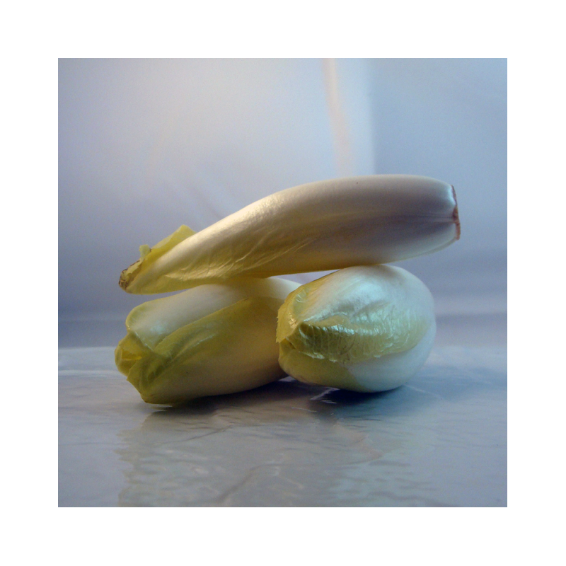 Endive bio- Du Panier à l'Assiette