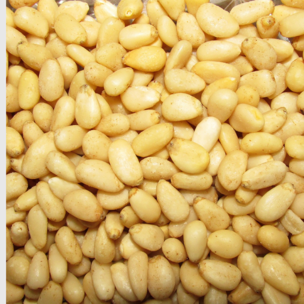 Pignon de pin Bio - Du Panier à l'Assiette