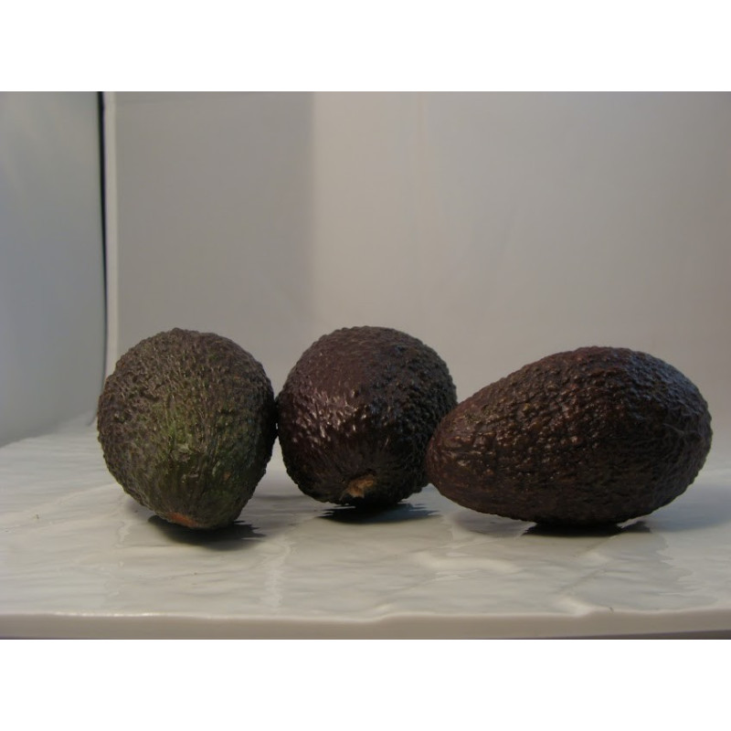 Avocats Bio lot - Du Panier à l'Assiette Avocats Bio lot - Du Panier à l'Assiette