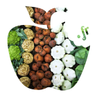 Panier localo&ugrave; Fruits & L&eacute;gumes Bio - Du Panier &agrave; l'Assiette