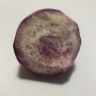 radis blue meat bio- Du Panier à l'Assiette radis blue meat bio- Du Panier à l'Assiette