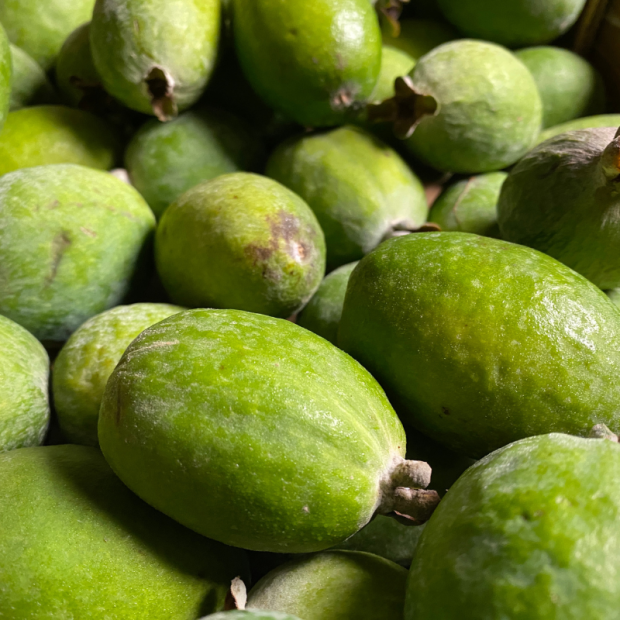 feijoa Bio - Du Panier à l'Assiette