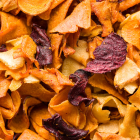 Chips de l&eacute;gumes Bio - Du Panier &agrave; l'Assiette