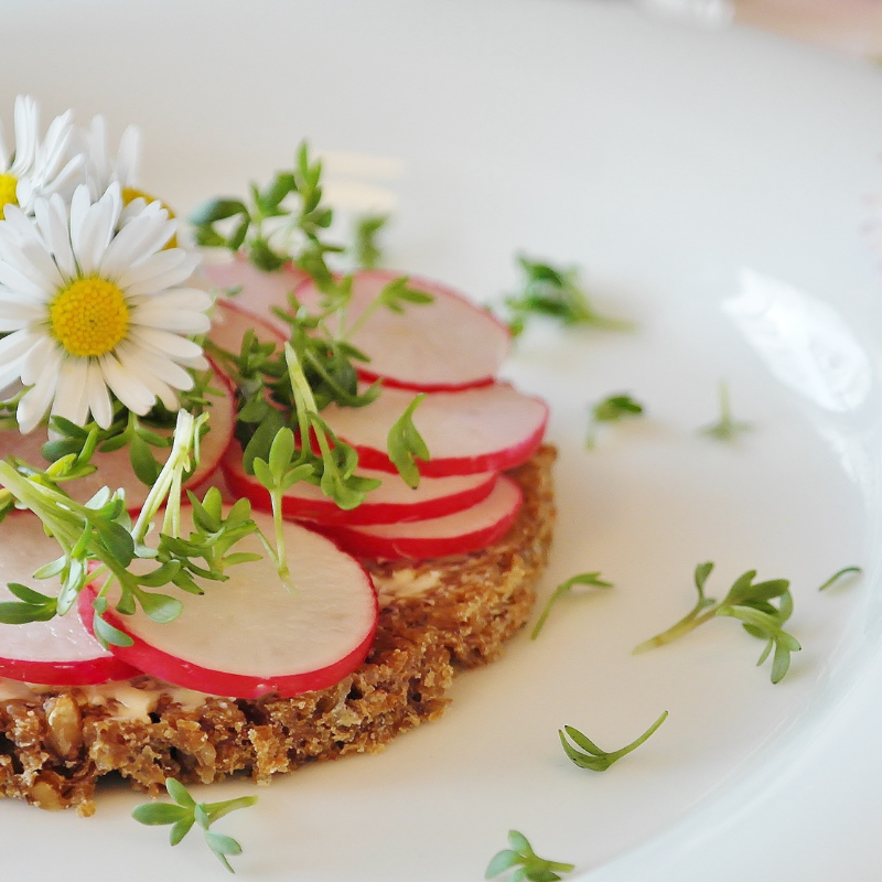 radis botte bio- Du Panier &agrave; l'Assiette