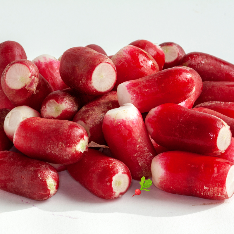 radis botte bio- Du Panier &agrave; l'Assiette