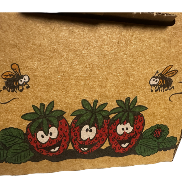 Fraise bio- Du Panier &agrave; l'Assiette