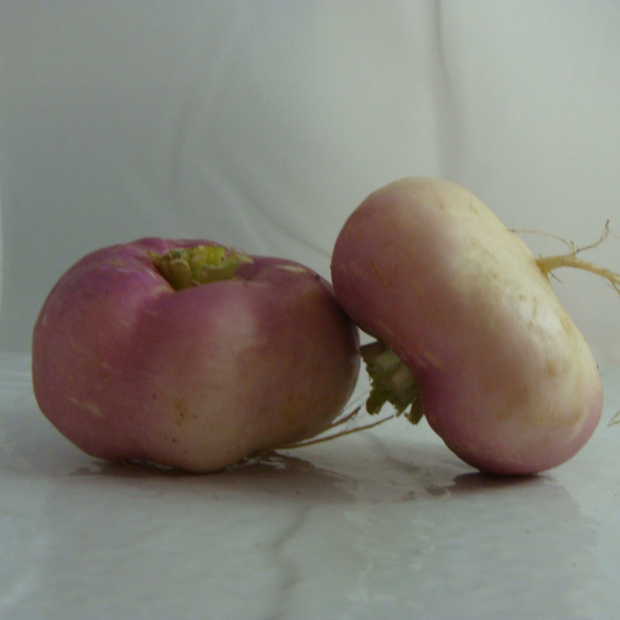 navet violet bio- Du Panier à l'Assiette
