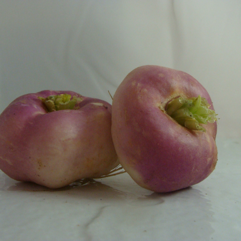 navet violet bio- Du Panier à l'Assiette navet violet bio- Du Panier à l'Assiette