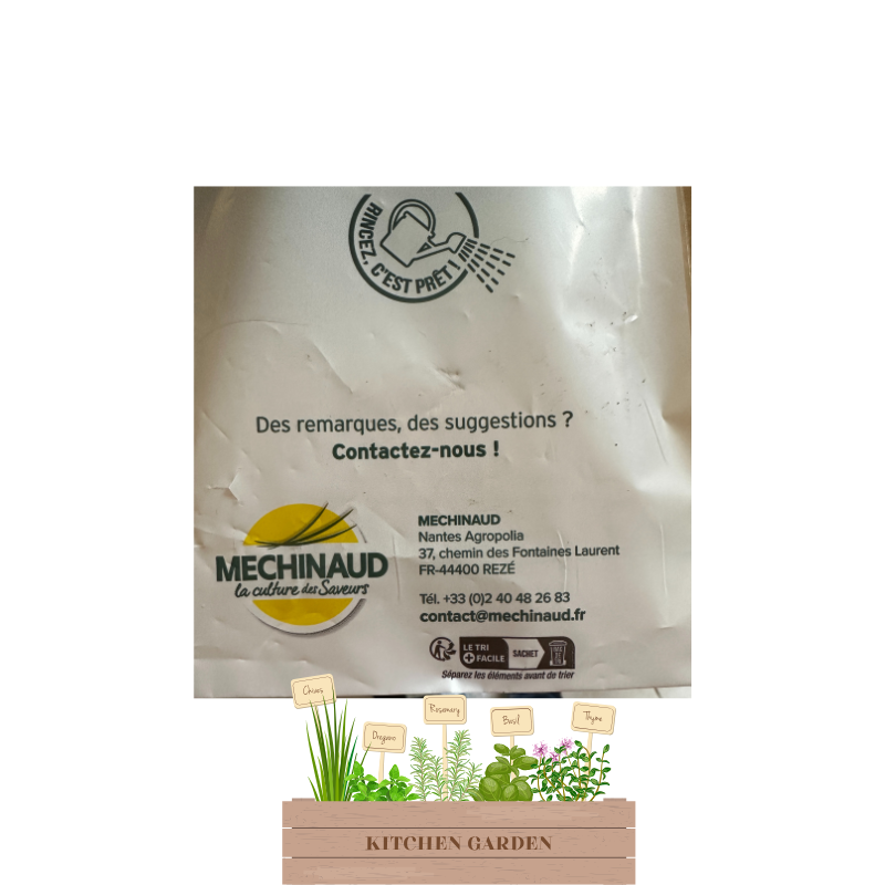 Coriandre bio- Du Panier à l'Assiette Coriandre bio- Du Panier à l'Assiette