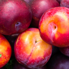 Prune Rouge X 400g *Nouveau*