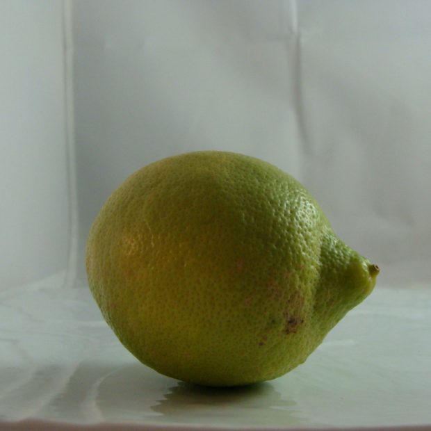 Citron Bio - Du Panier à l'Assiette