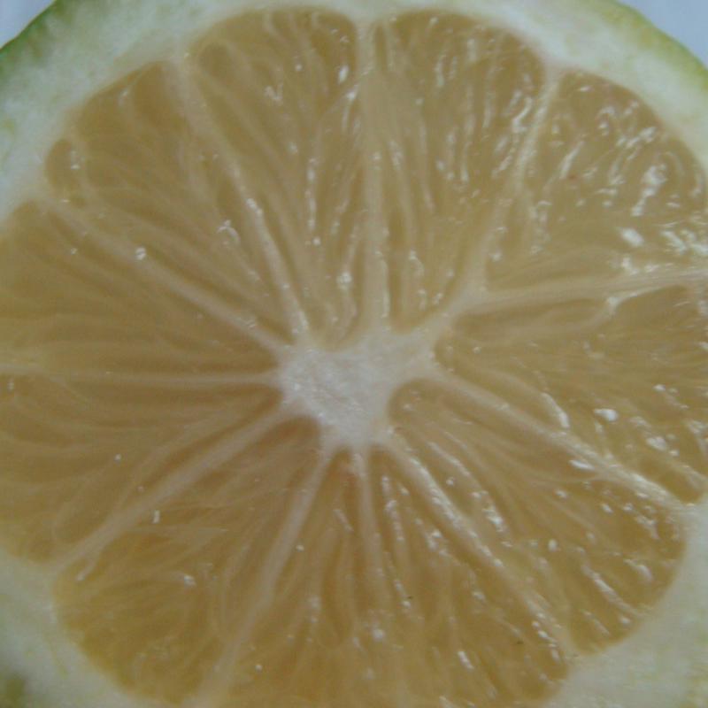 Citron Bio - Du Panier à l'Assiette Citron Bio - Du Panier à l'Assiette