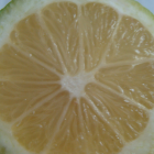 Citron Bio - Du Panier à l'Assiette