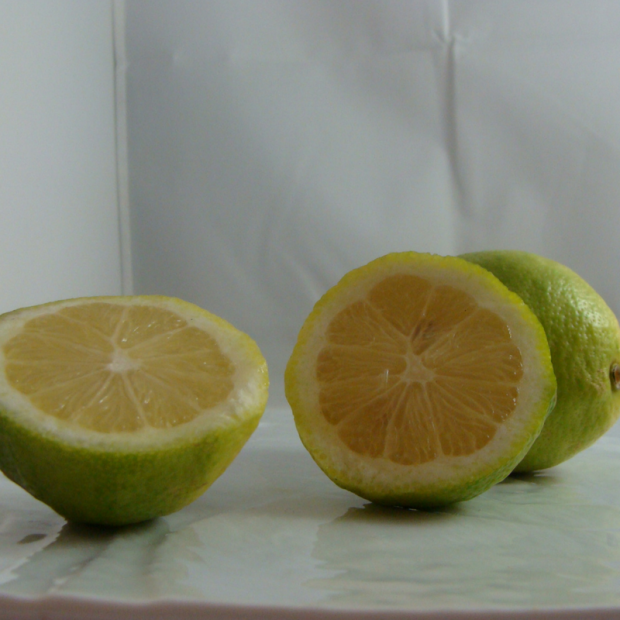 Citrons lot Bio - Du Panier &agrave; l'Assiette