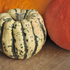 Patidou bio- Du Panier à l'Assiette Patidou bio- Du Panier à l'Assiette