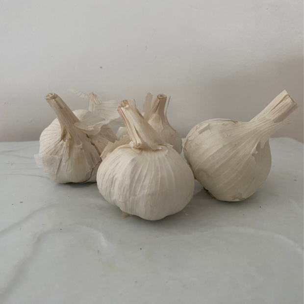 Ail français bio- Du Panier à l'Assiette