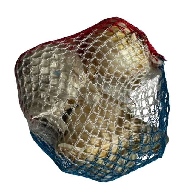 Ail français bio- Du Panier à l'Assiette