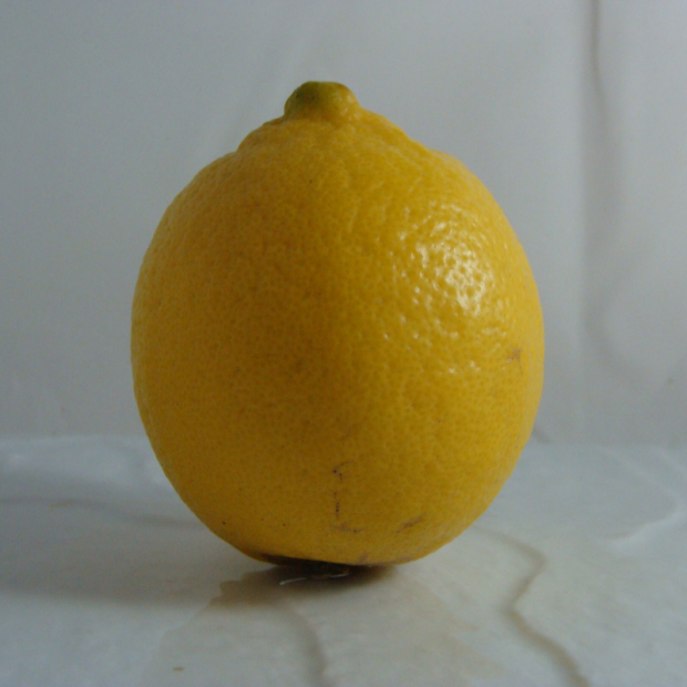 Citron Bio - Du Panier à l'Assiette